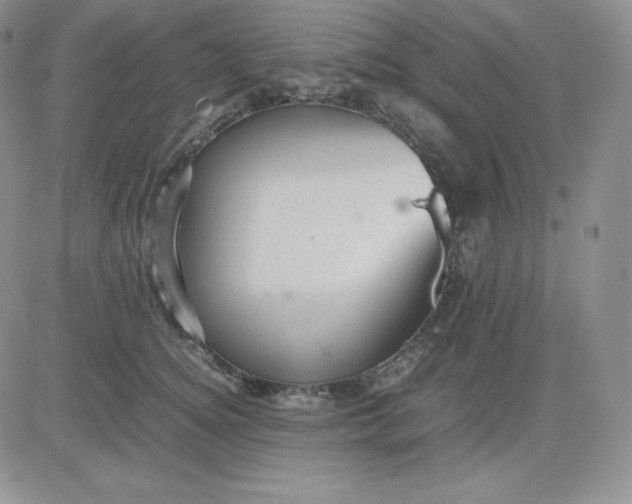 X0000081310756200701251743