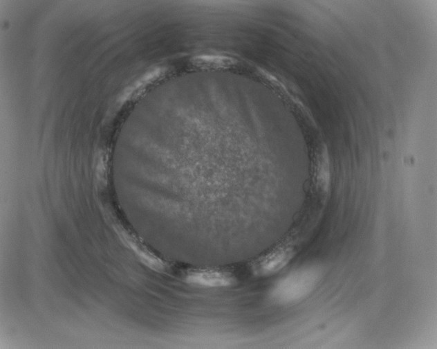 X0000081310759200701251743