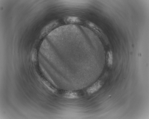 X0000081310760200701251743