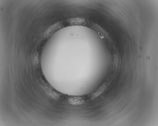 X0000081310761200701251743