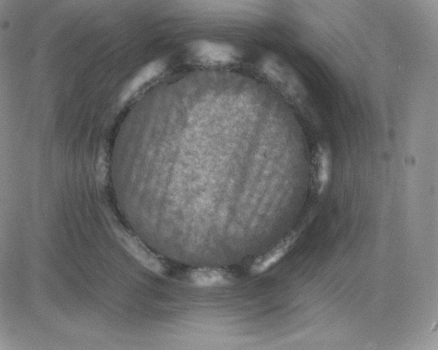 X0000081310762200701251743