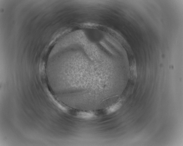 X0000081310765200701251743