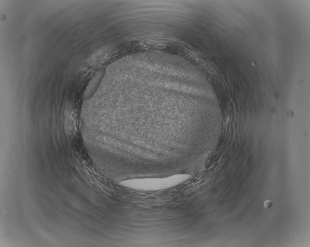 X0000081310772200701251742