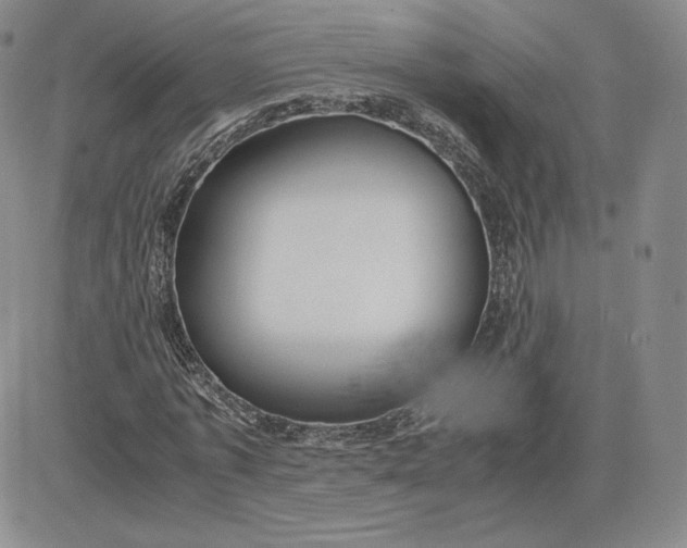 X0000081310773200701251742