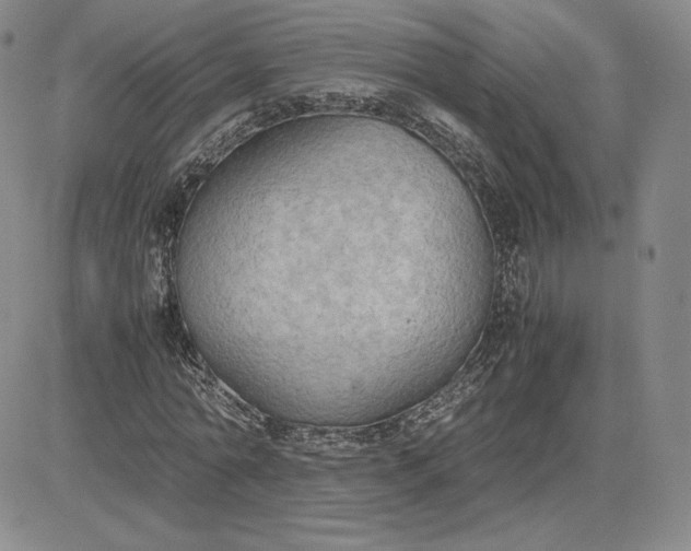 X0000081310774200701251742