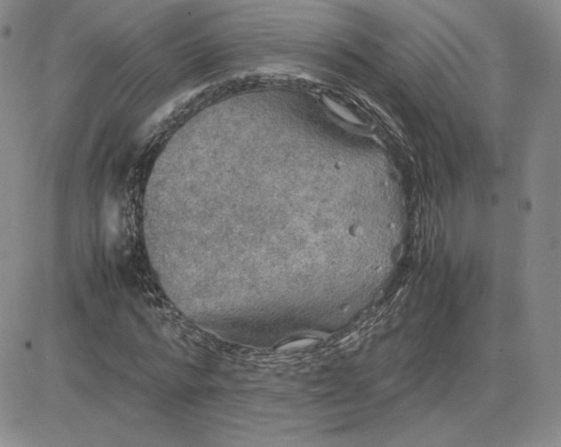 X0000081310776200701251742