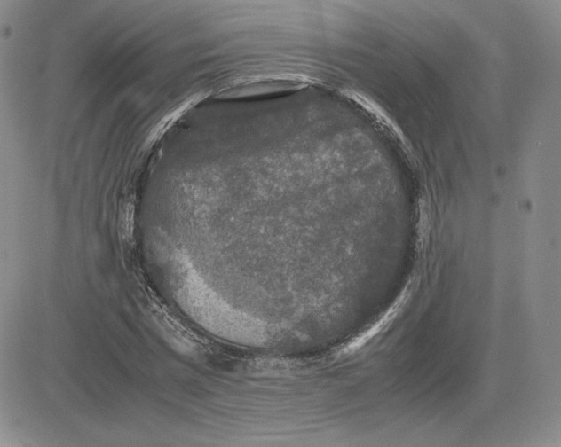 X0000081310777200701251742