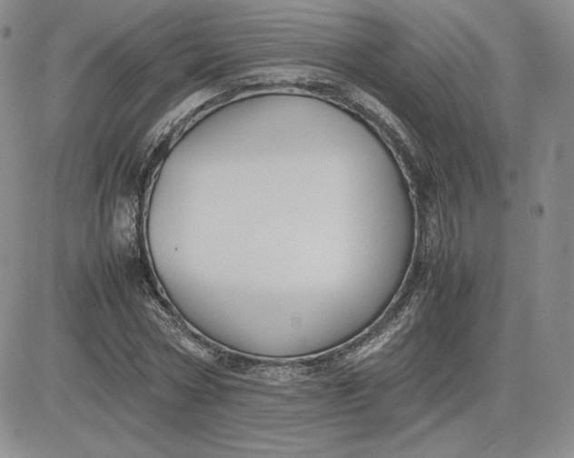 X0000081310778200701251742