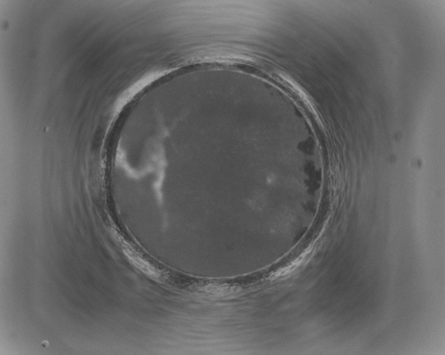 X0000081310779200701251742