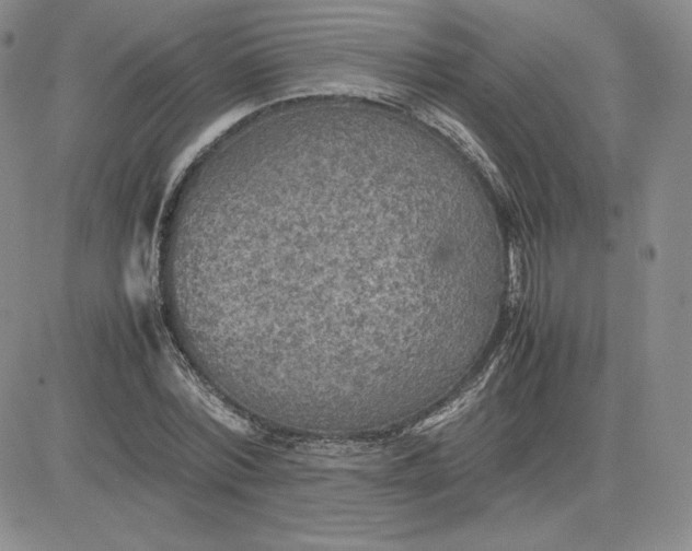 X0000081310780200701251742