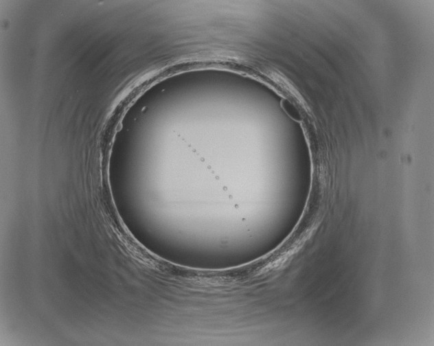 X0000081310781200701251742