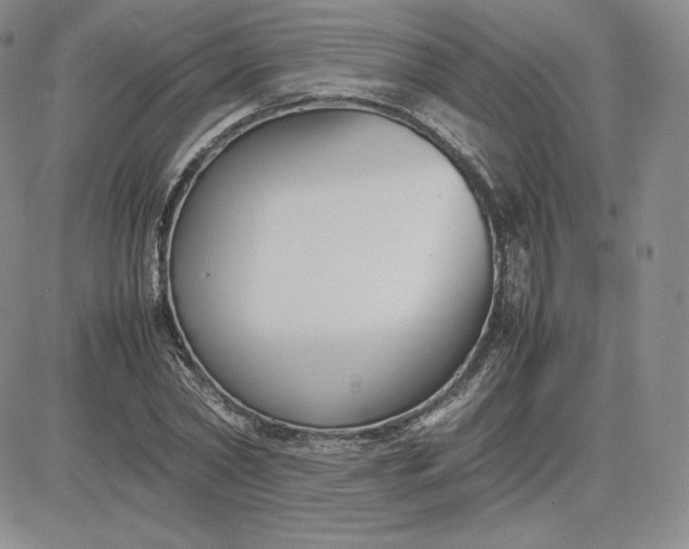 X0000081310782200701251742