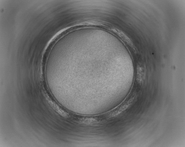 X0000081310784200701251742