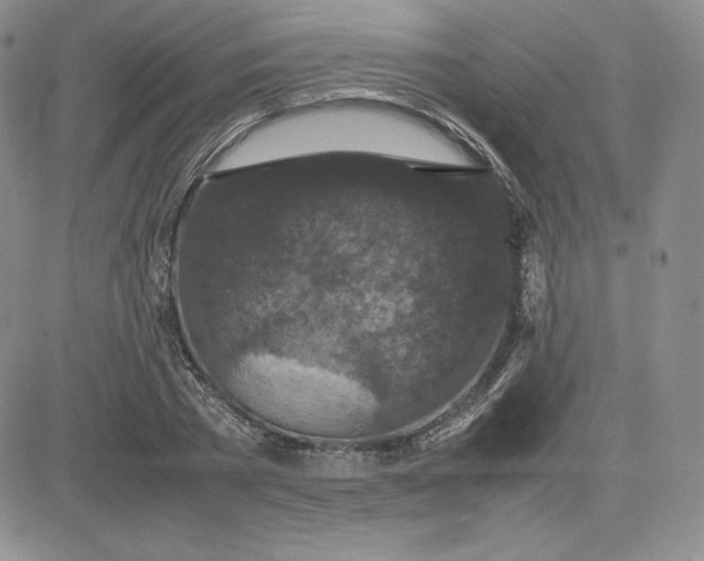 X0000081310785200701251742