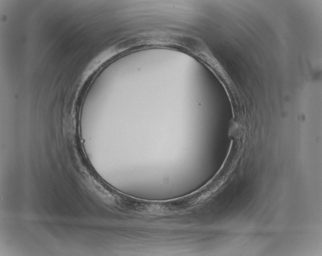 X0000081310787200701251742