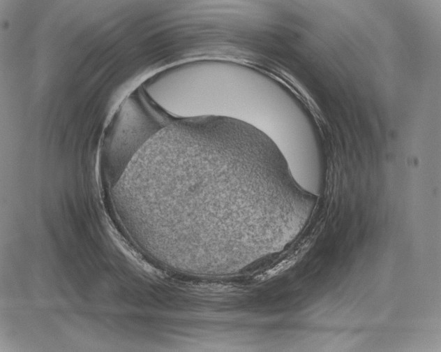 X0000081310788200701251742