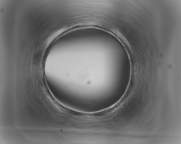 X0000081310789200701251742