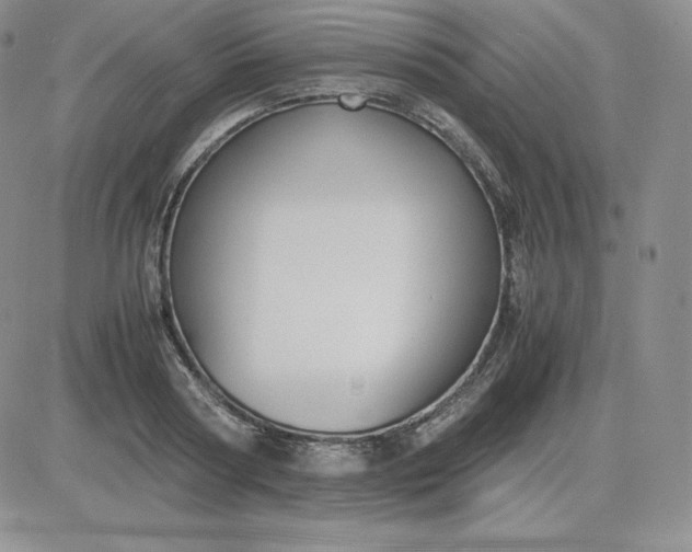 X0000081310794200701251742