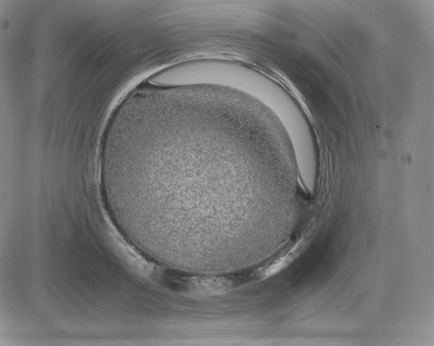 X0000081310795200701251741