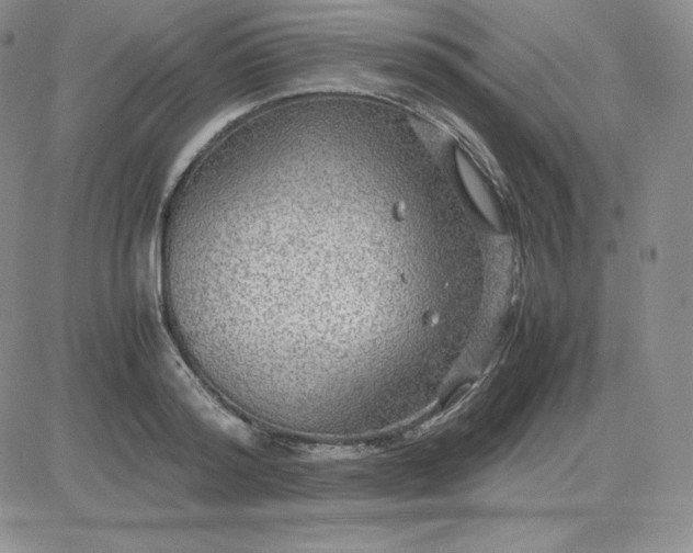 X0000081310796200701251741