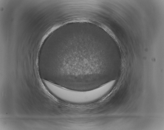 X0000081310797200701251741