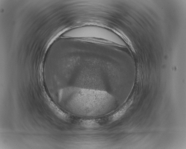 X0000081310798200701251741