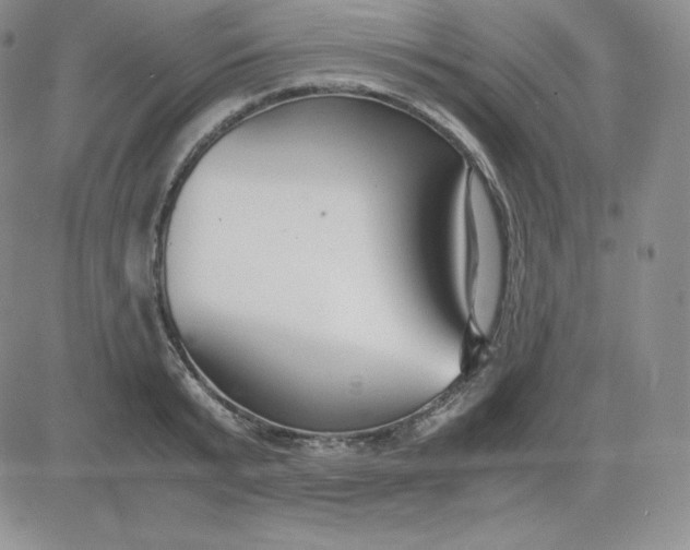 X0000081310799200701251741