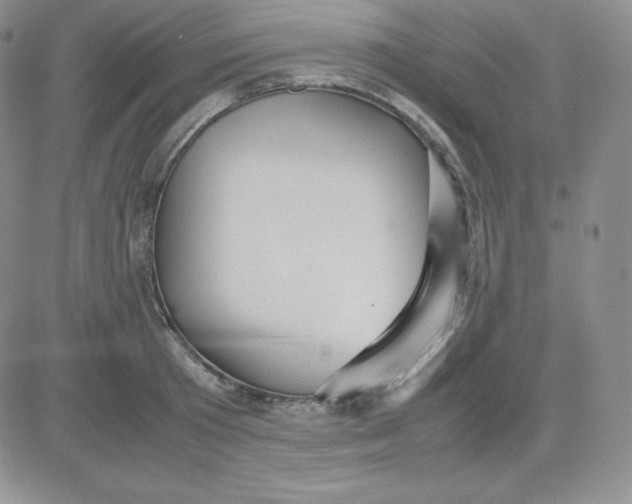 X0000081310801200701251741