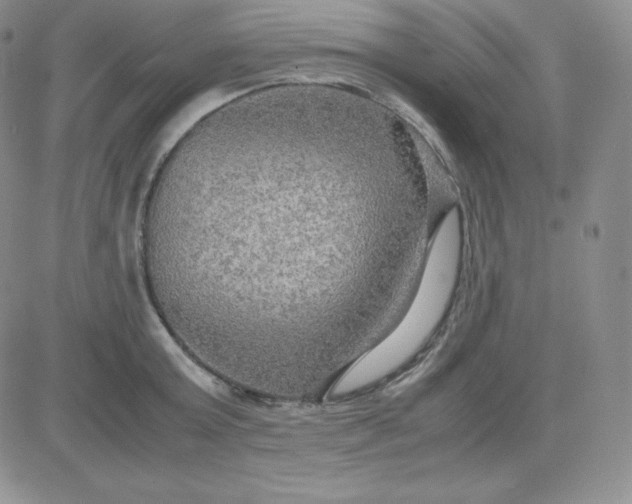 X0000081310803200701251741