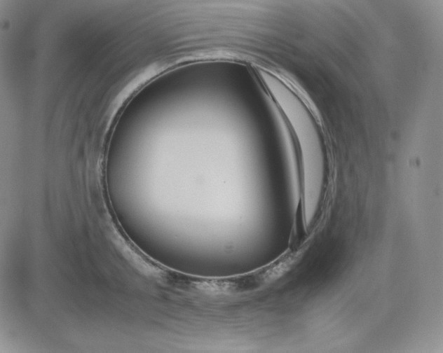 X0000081310805200701251741