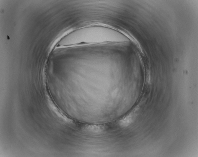 X0000081310806200701251741