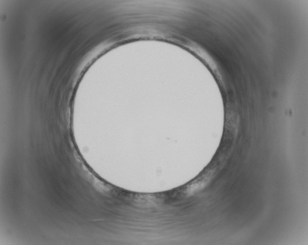 X0000081310807200701251741