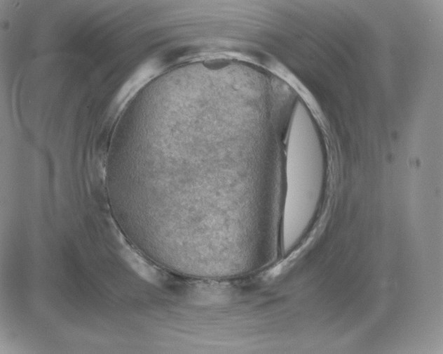 X0000081310809200701251741