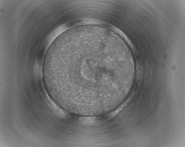 X0000081310810200701251741