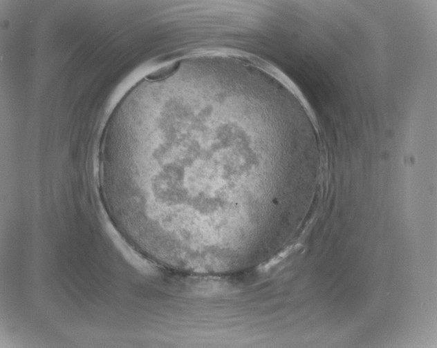 X0000081310811200701251741