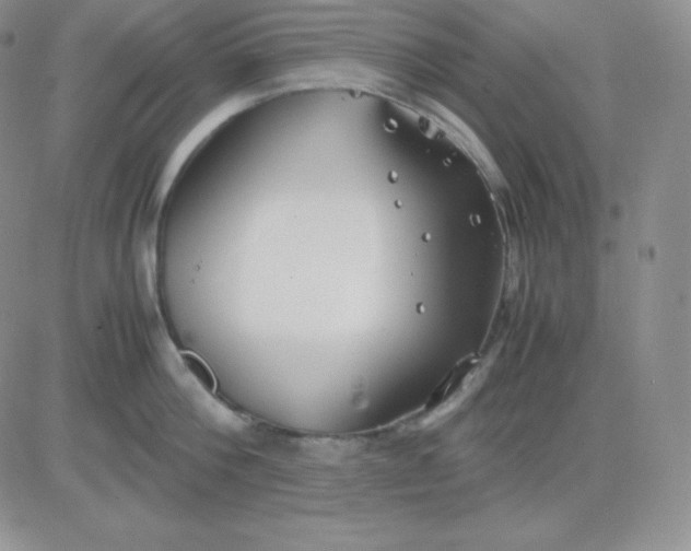 X0000081310812200701251741