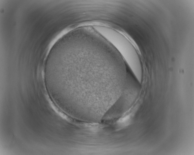 X0000081310813200701251741