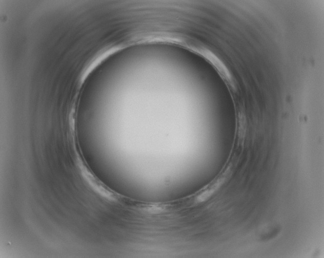 X0000081310814200701251741