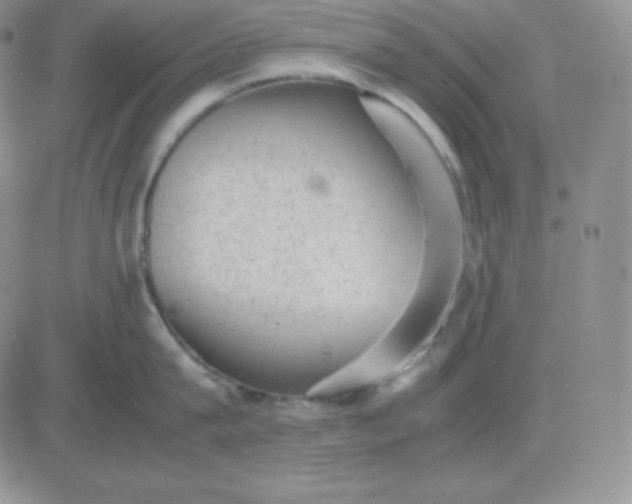 X0000081310815200701251741