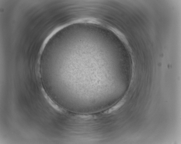 X0000081310816200701251741