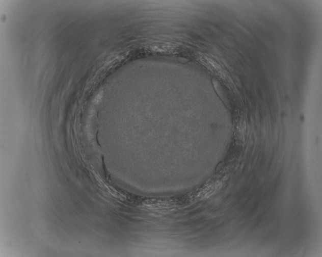 X0000081310817200701251740