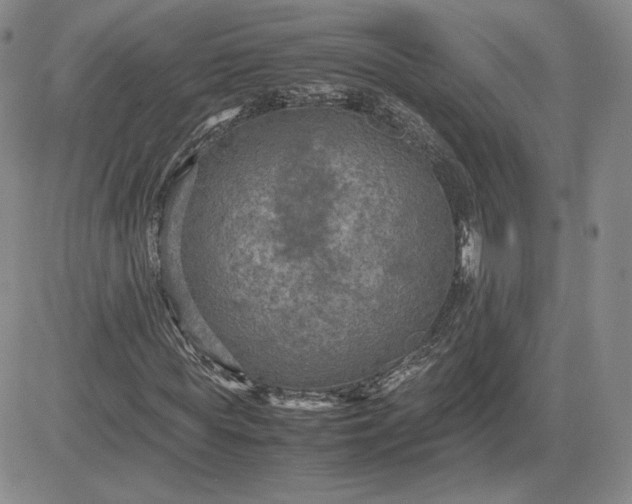 X0000081310819200701251740