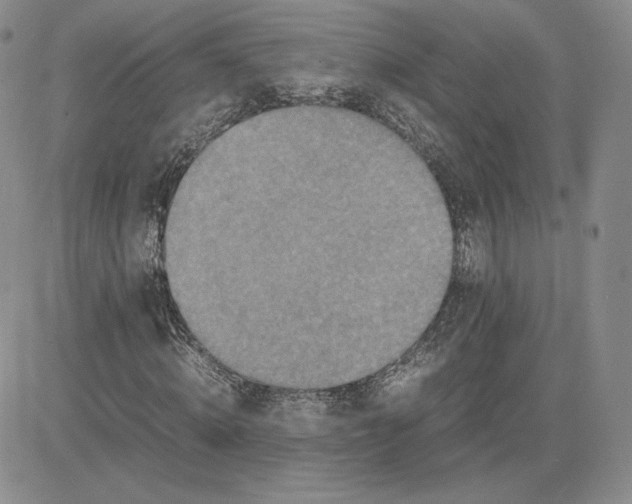 X0000081310820200701251740