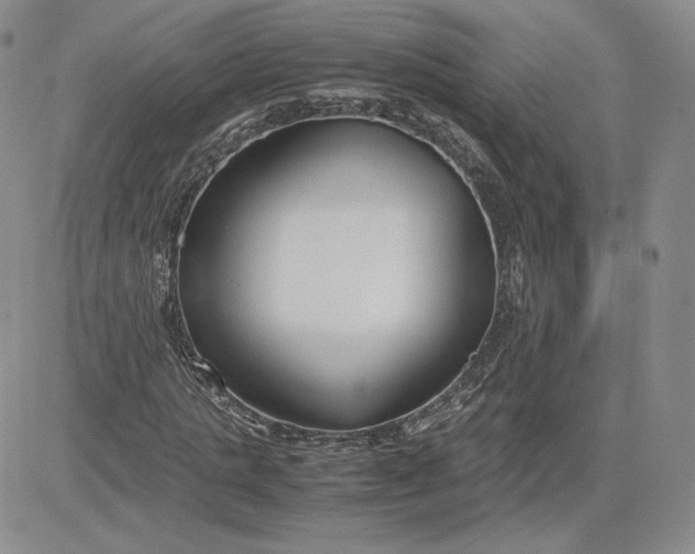 X0000081310821200701251740