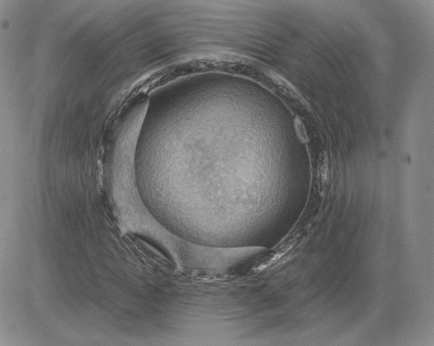 X0000081310822200701251740