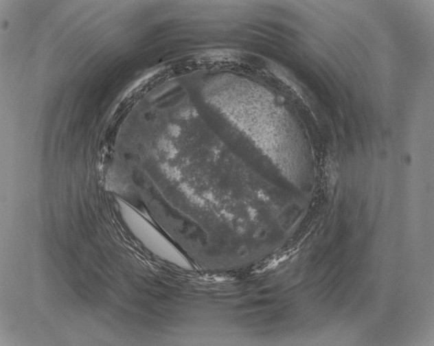 X0000081310823200701251740