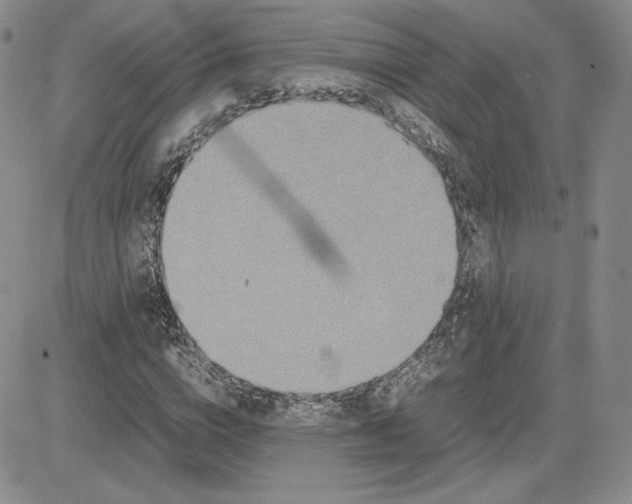 X0000081310824200701251740