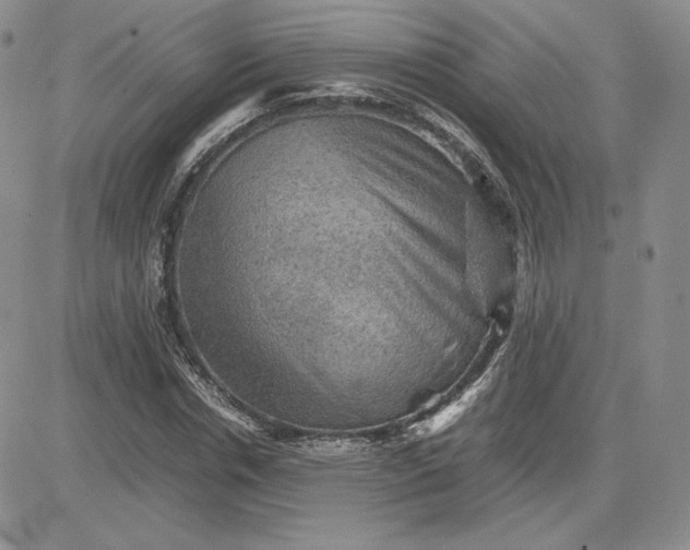 X0000081310826200701251741