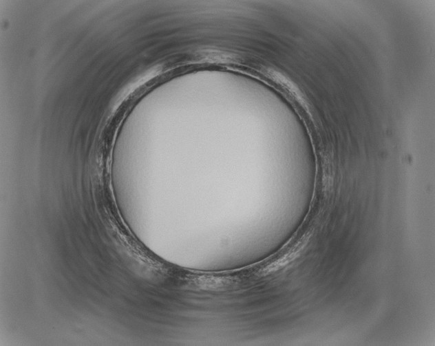 X0000081310827200701251741