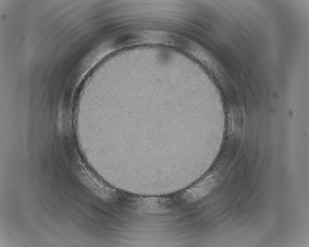 X0000081310828200701251741